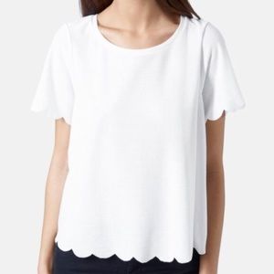 Scalloped T Shirt